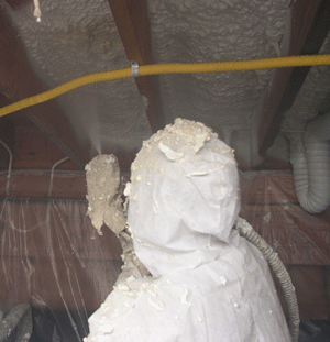 Glendale AZ crawl space insulation